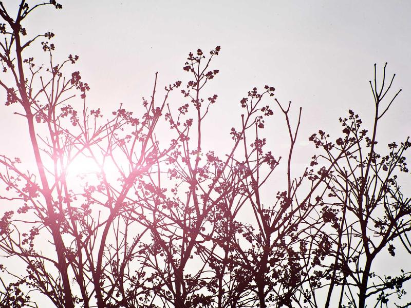 sudoku x-wing screenshot 5