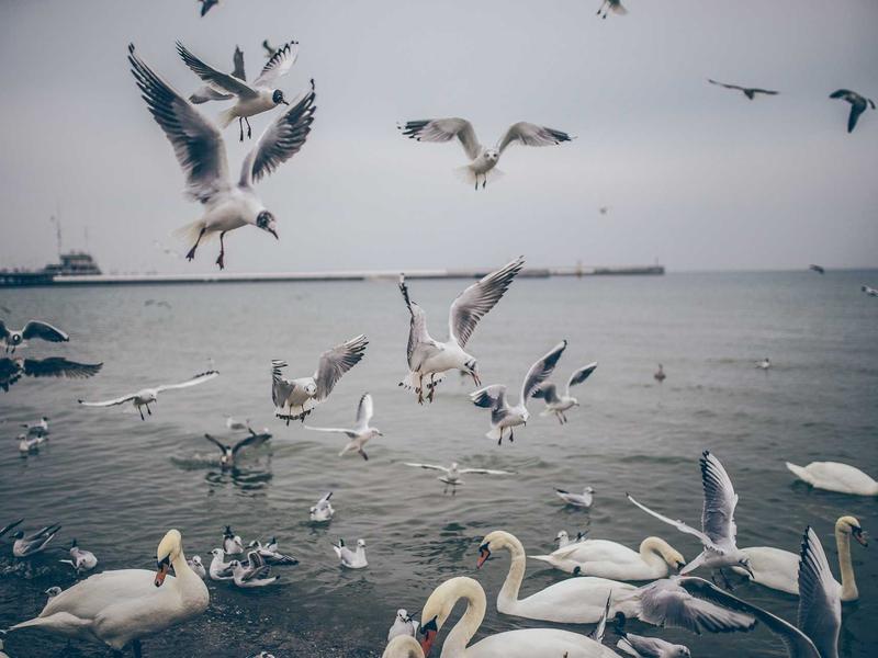 sudoku pattern recognition