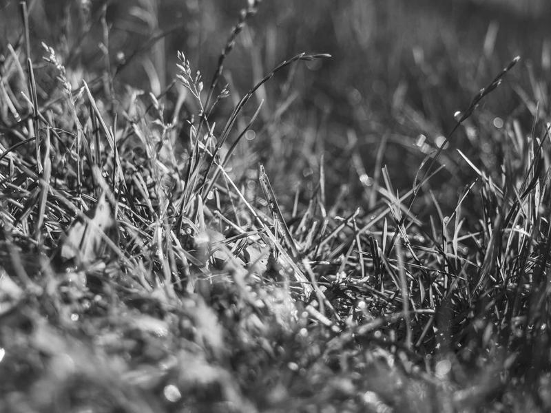 sudoku x-wing screenshot 4