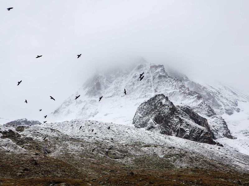 sudoku pattern recognition screenshot 1